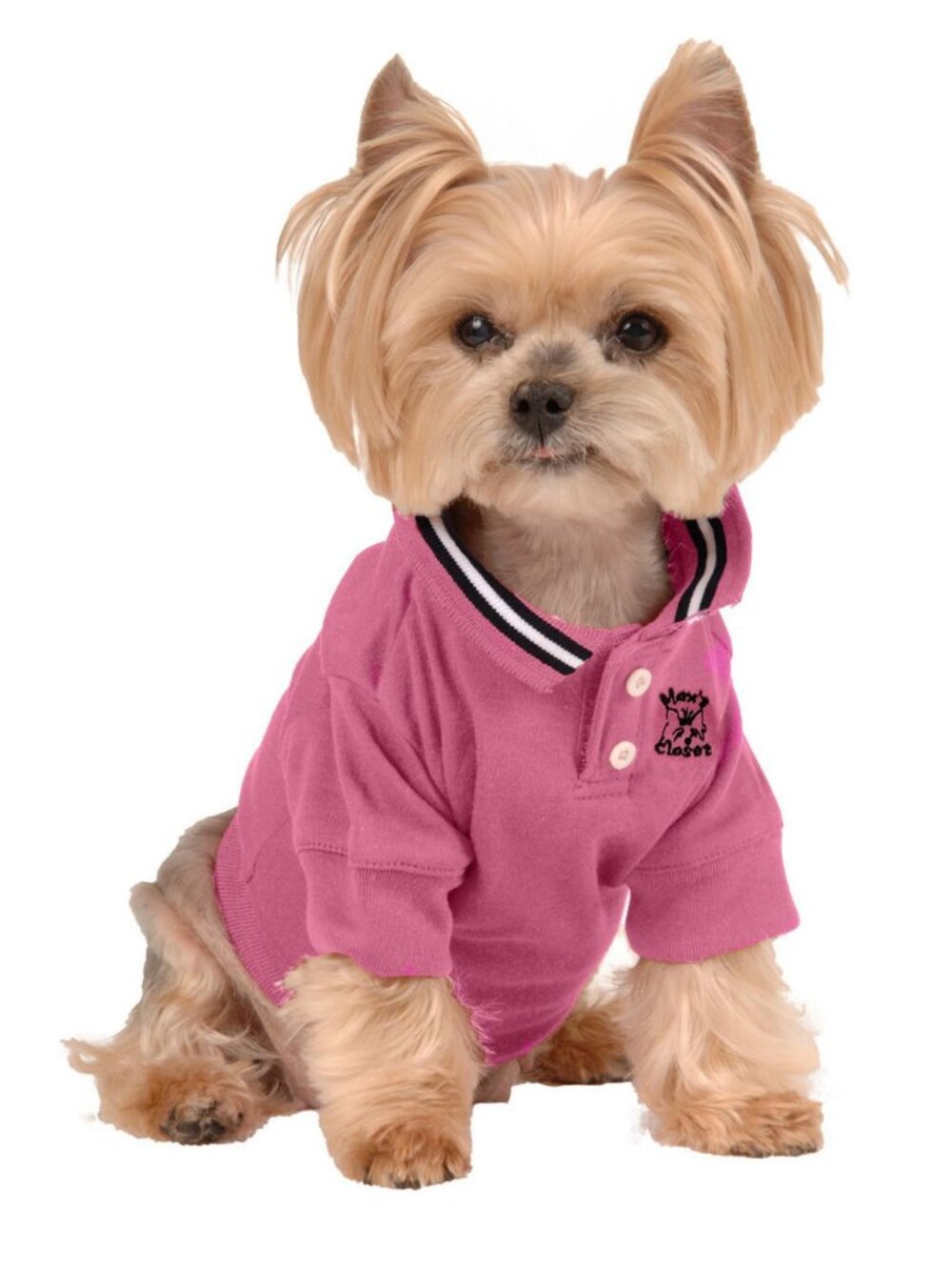Hot Pink Polo Shirt